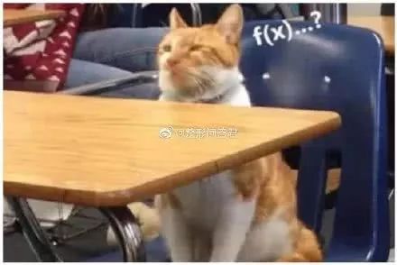 数学老师竟用爱情讲解函数，学生的回答惹全场爆笑！网友：当初要有这老师，数学就及格了-信息快讯网