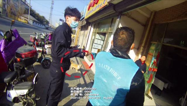 男子偷狗给爱犬配种，被抓时才知2只狗是同性-LMLPHP
